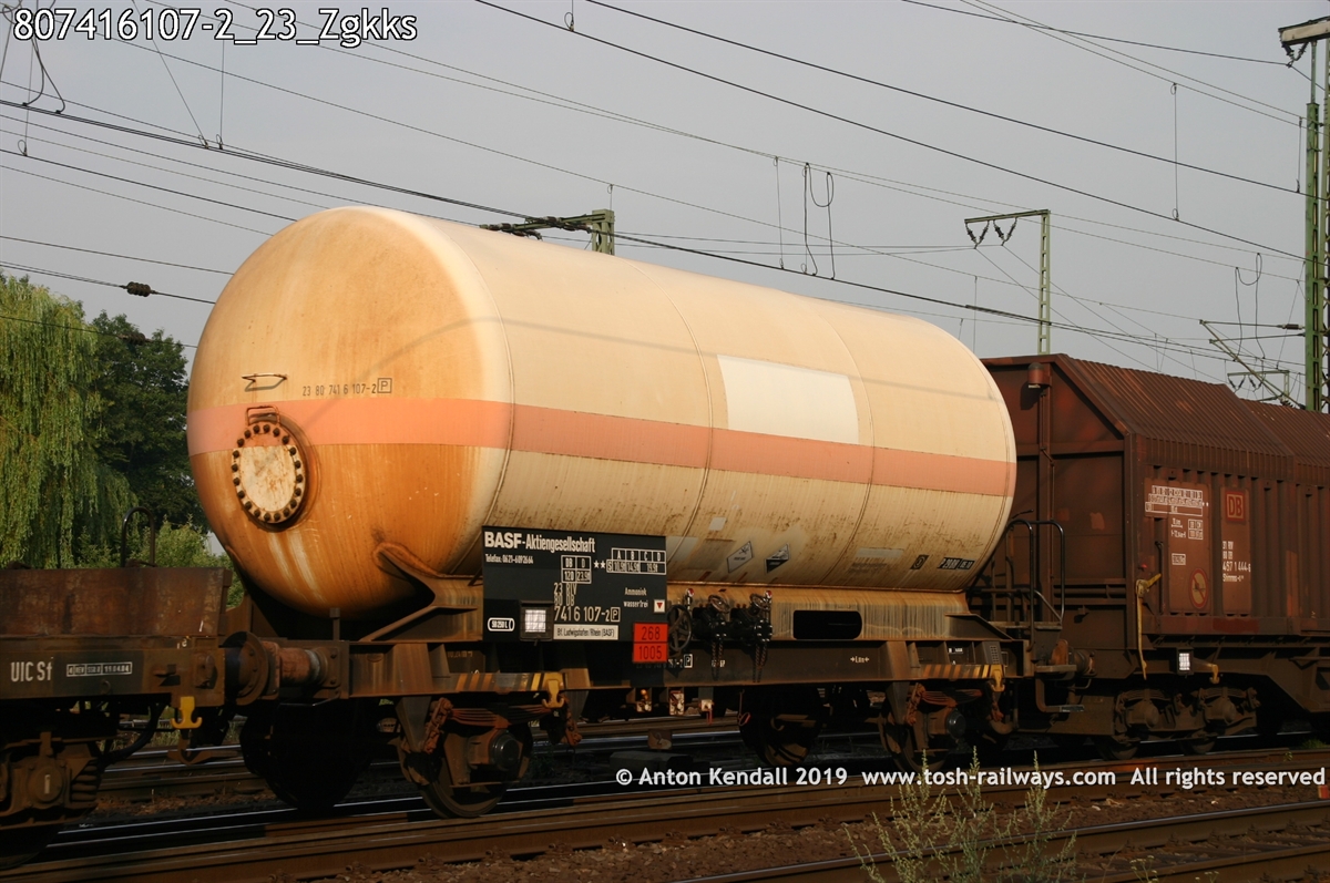 807416107-2_23_Zgkks.jpg
